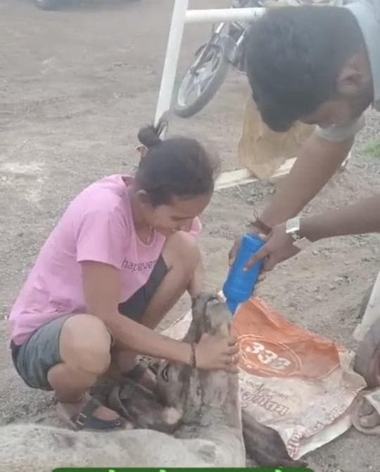 Clothes Distribution